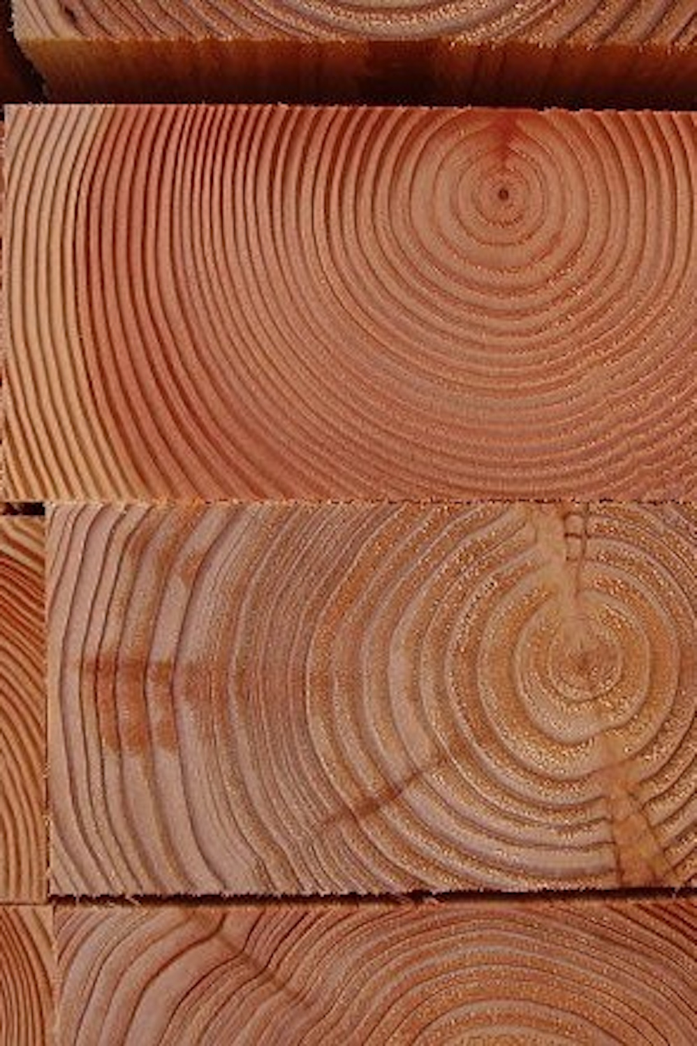 Softwood sleeper close up