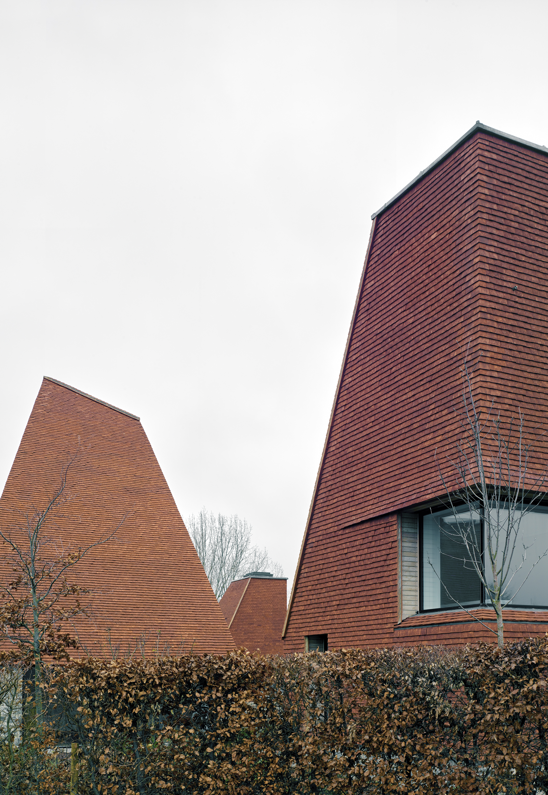 Caring Wood 1156 James Morris Press Image 2