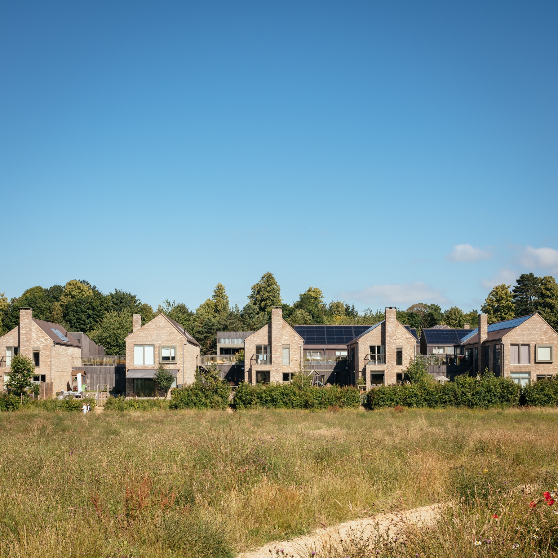 Lovedon Fields 4597 Jim Stephenson PRESSIMAGE 5