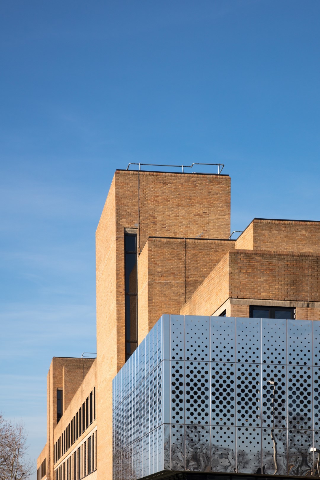 Northampton Internat 3010 Luke Hayes PRESSIMAGE 1 Large