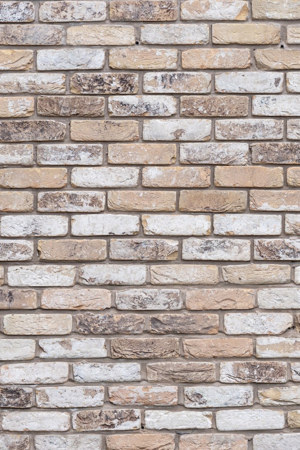 Unsworth Park - Facing Brick