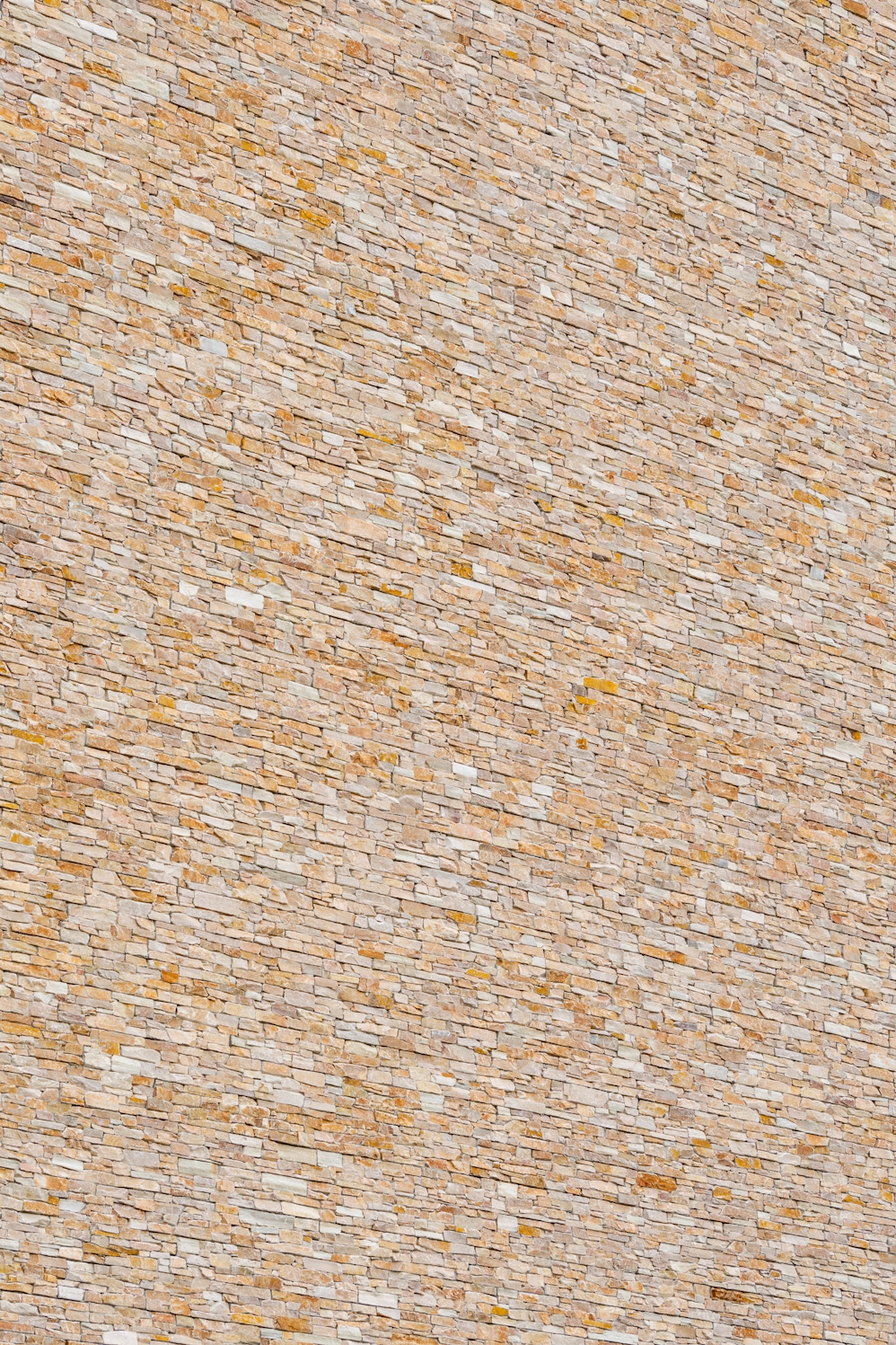 RFP TM Top Golf 3000px long edge 4773