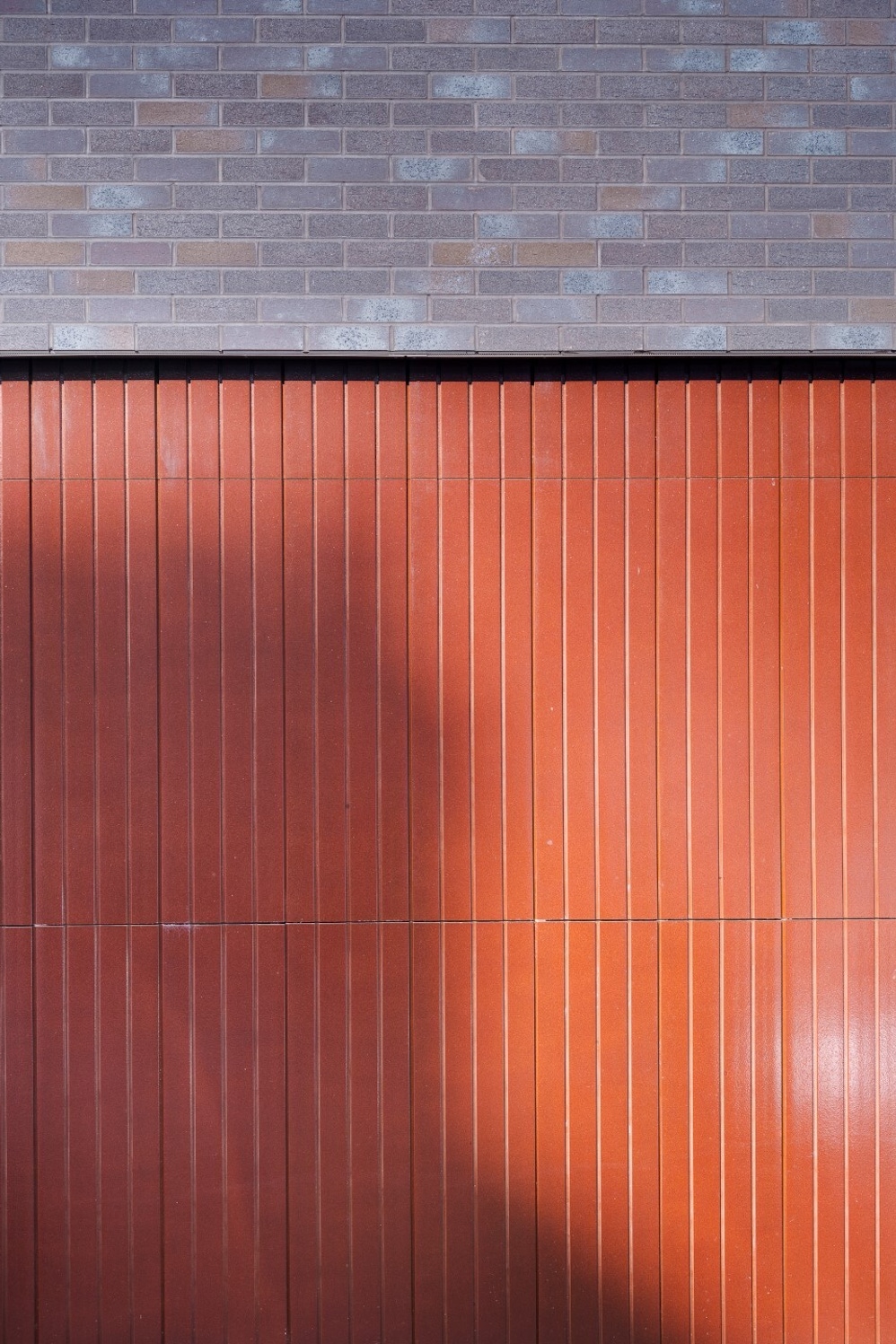 Richard Fraser for web use 3742 Large