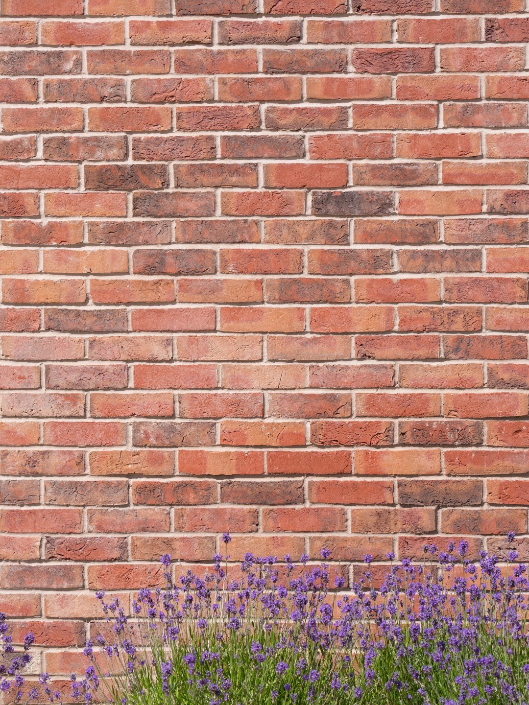 St Joseph Student Accommodation 57 Large