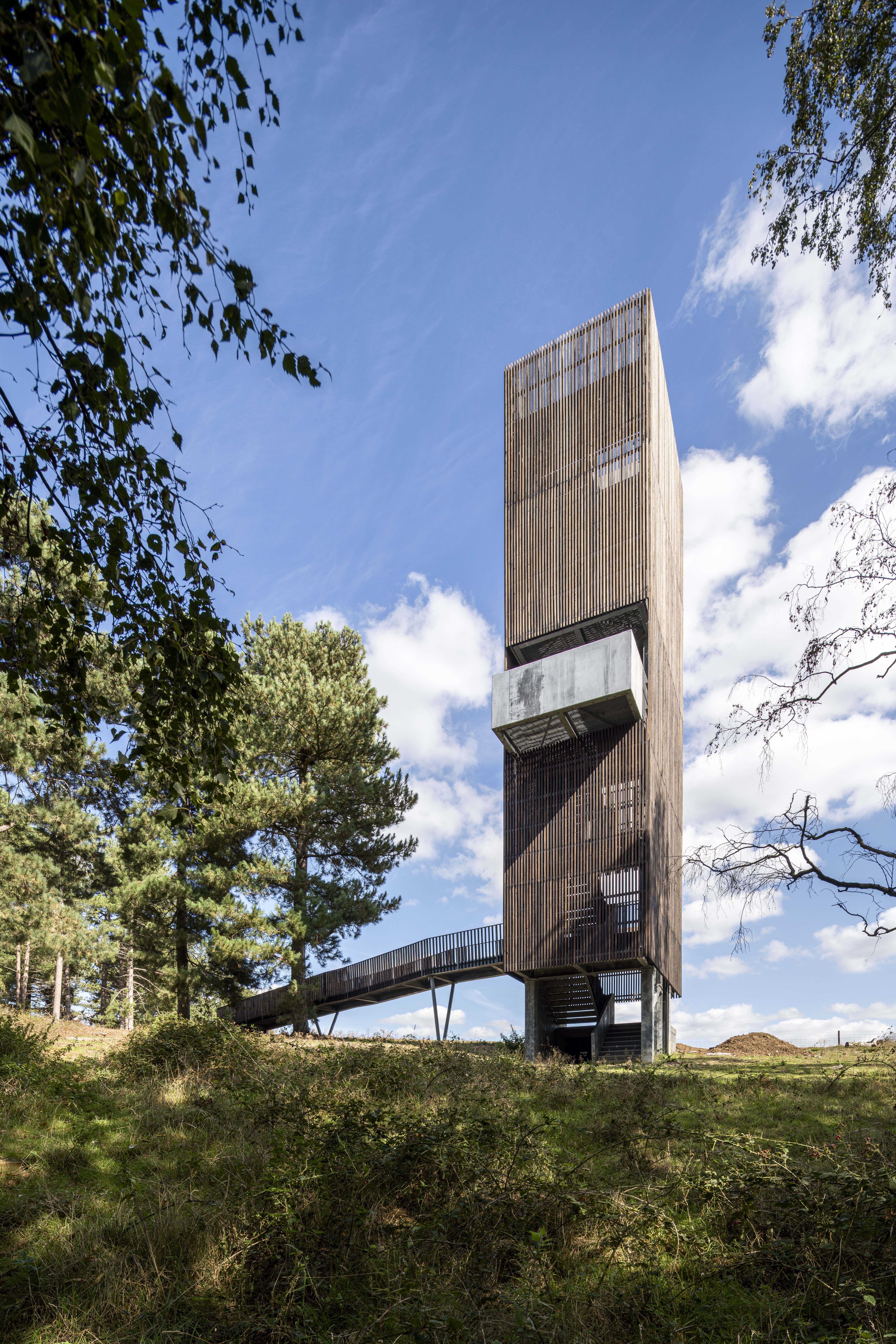 Sutton Hoo 4652 Gareth Gardner ORIGINAL 7