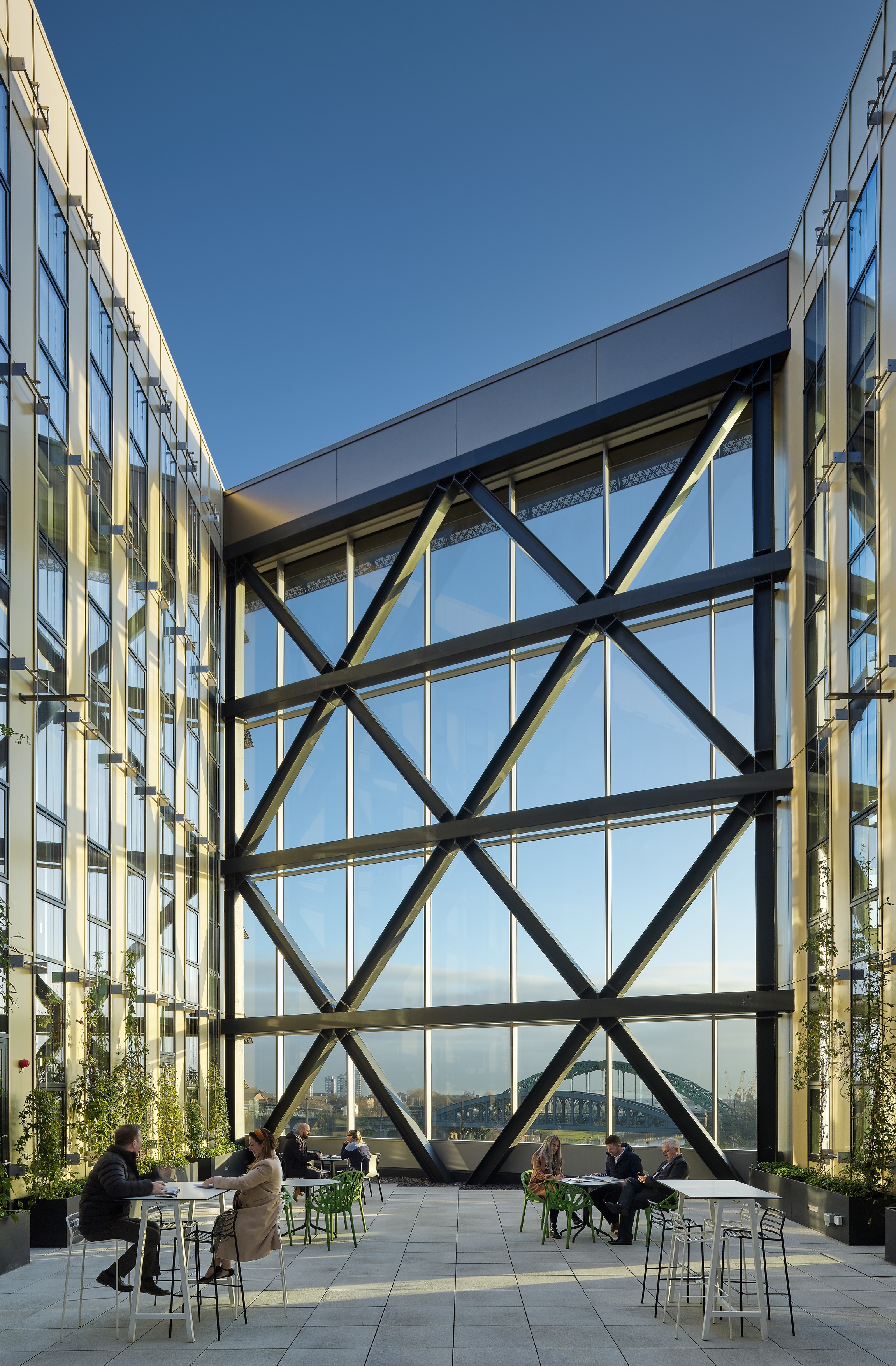 The Beam 4308 Daniel Hopkinson ORIGINAL 8