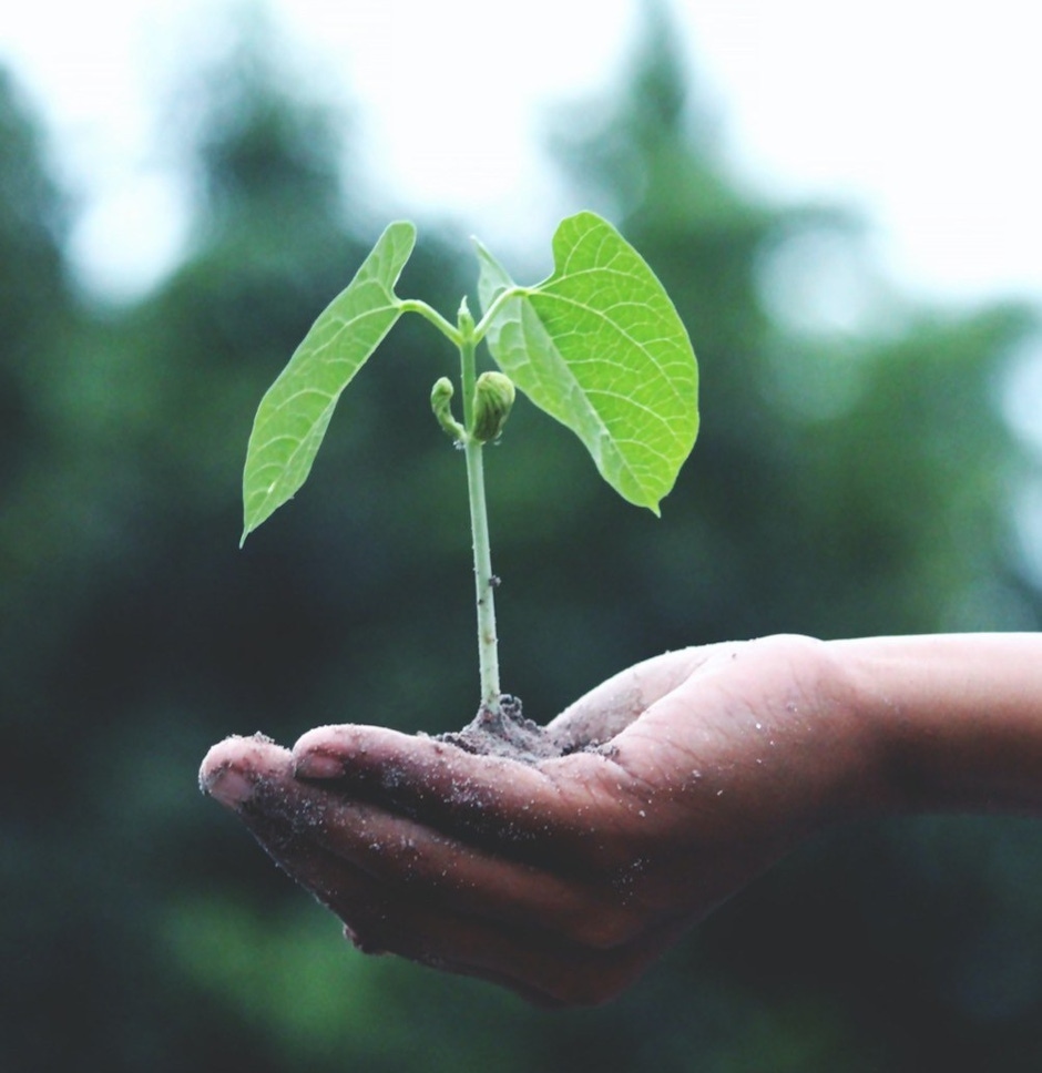 About sustainability