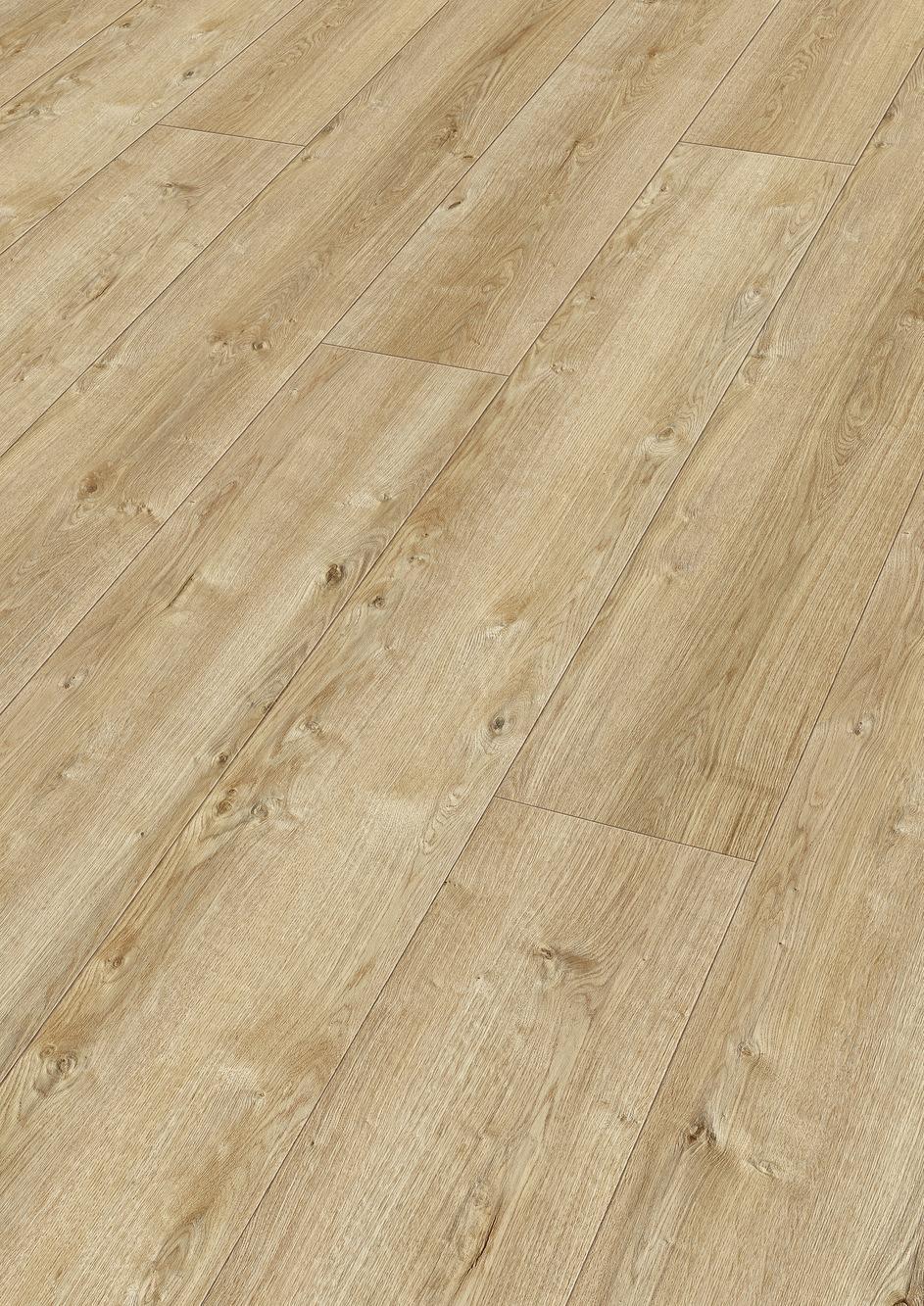 6831 Meister Design DL Perspektive