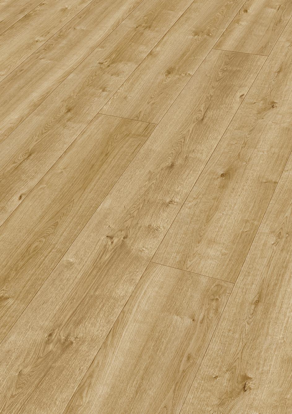 6832 Meister Design DL Perspektive