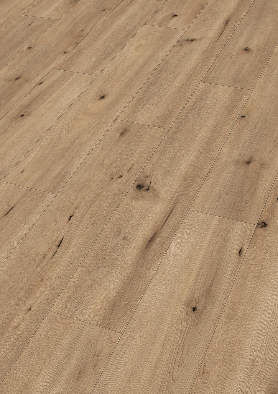 6843 Meister Design DD Perspektive