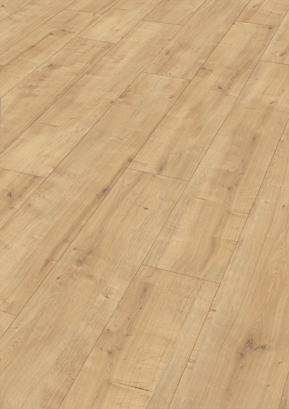 6891 Meister Design DD Perspektive