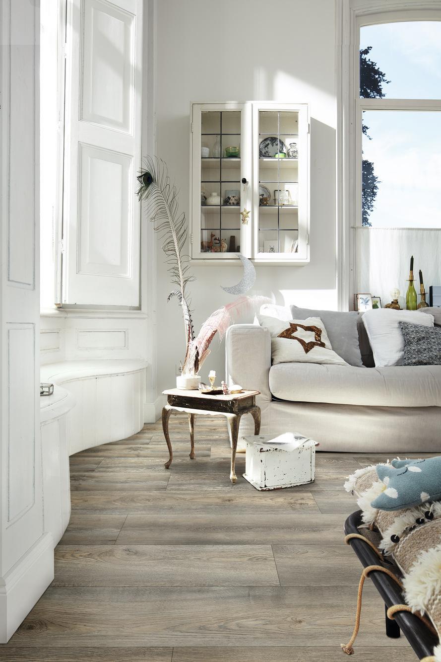 6977 Meister Design DD Detail R06