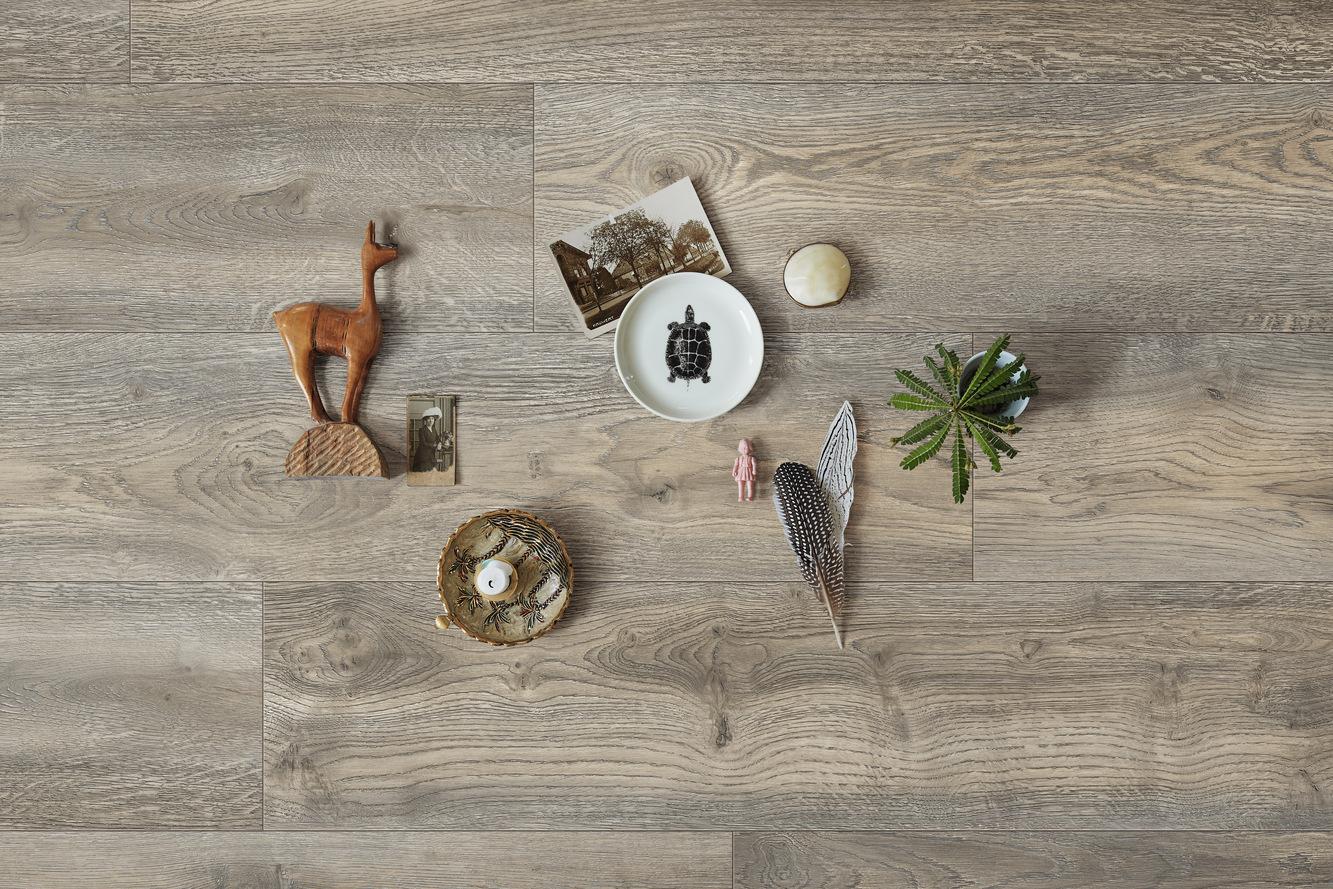 6977 Meister Design DD Makro R01