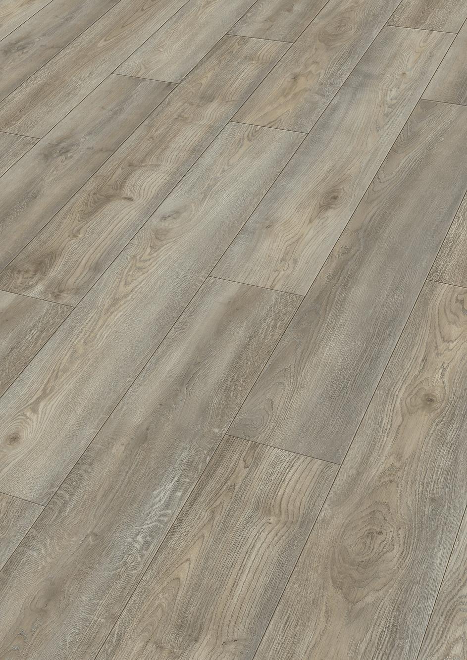 6977 Meister Design DD Perspektive