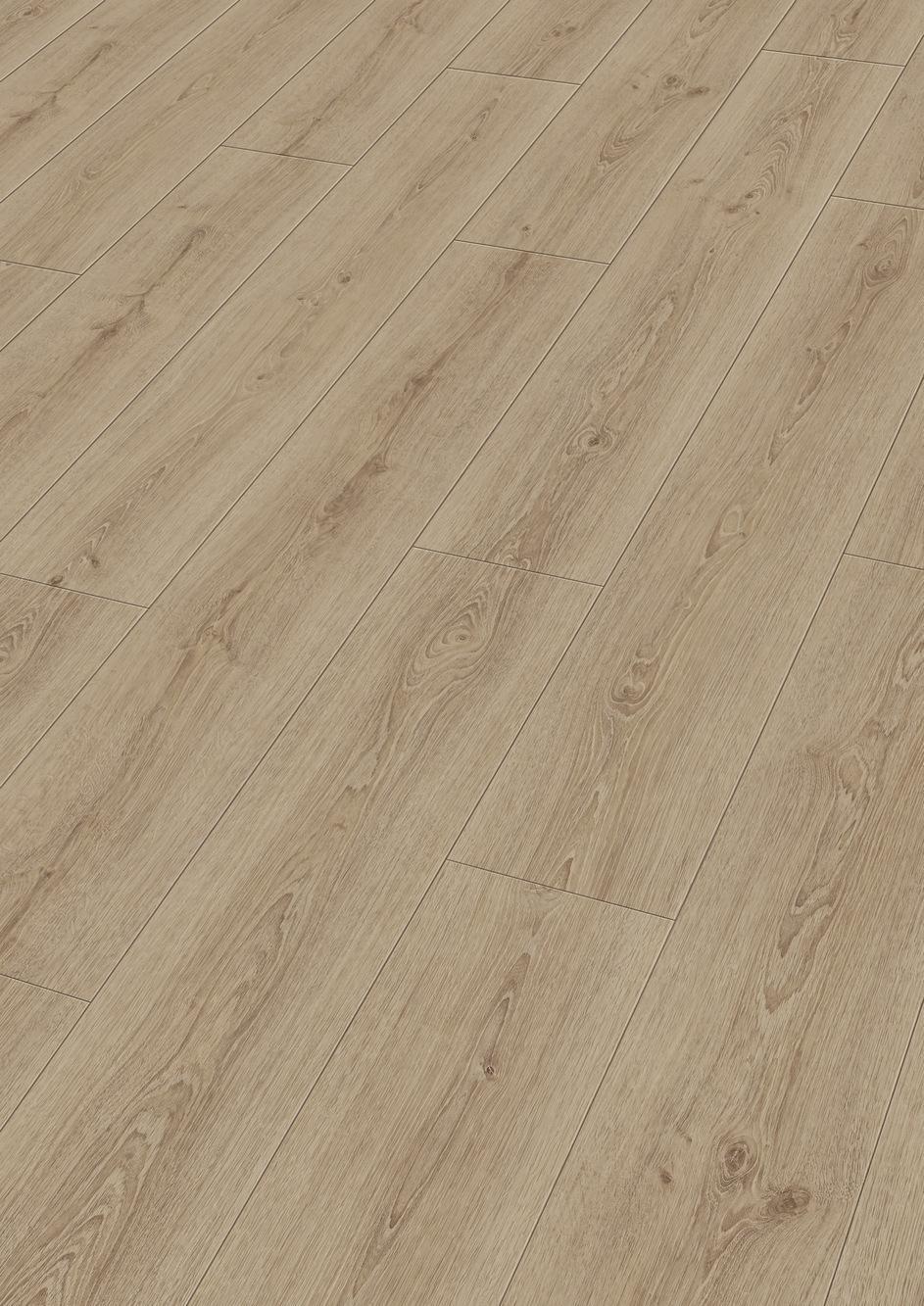 6985 Meister Design DD Perspektive