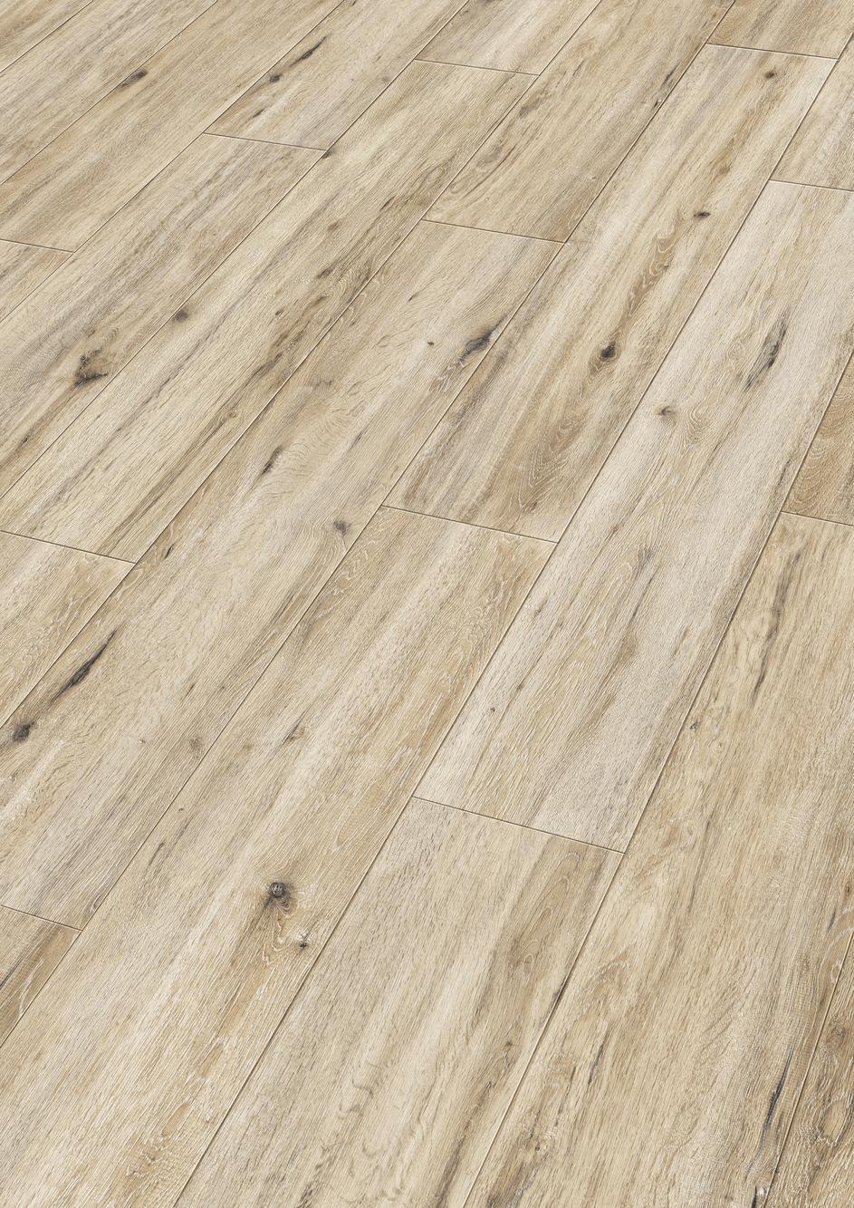 6990 Meister Design DD Perspektive