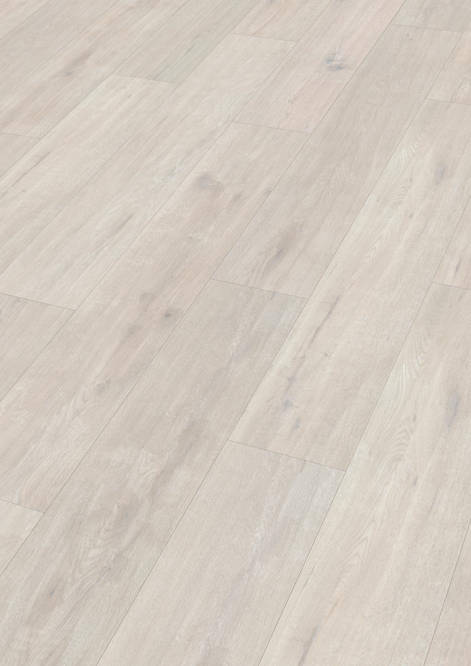 6995 Meister Design DD Perspektive