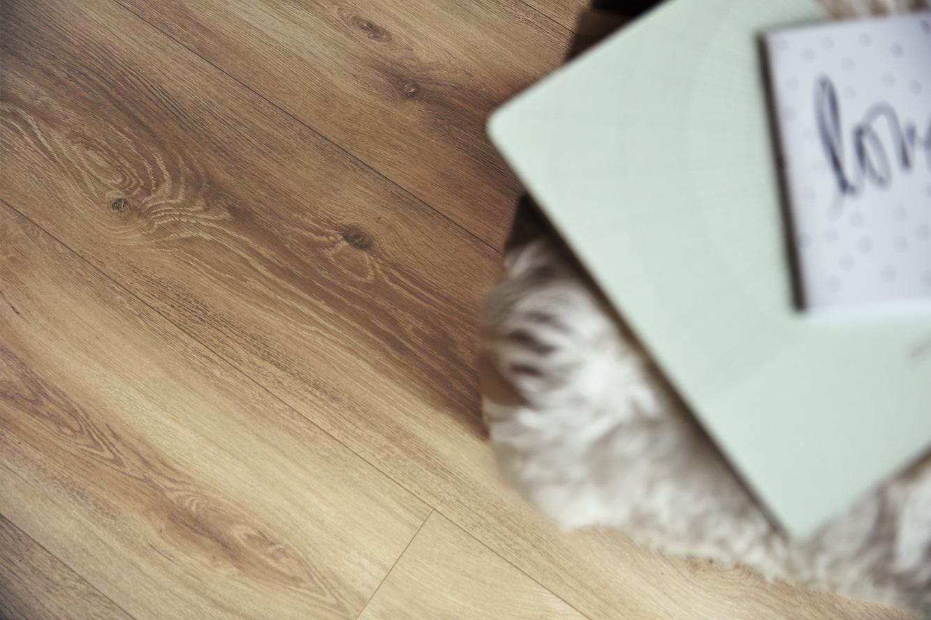 6998 Meister Design DD Detail 01