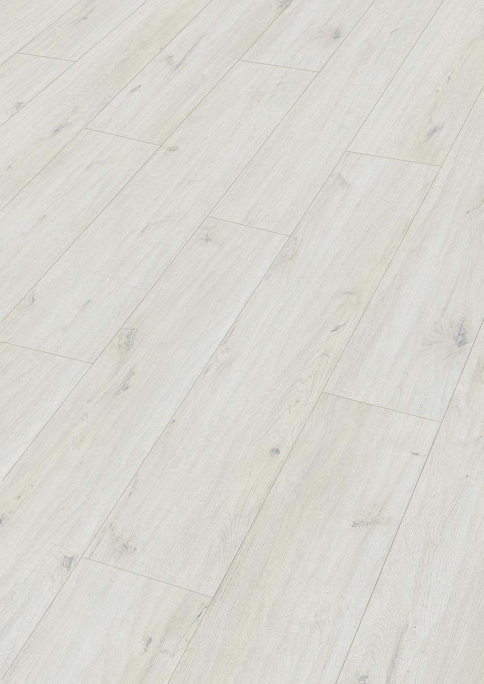 7115 Meister Design DD Perspektive