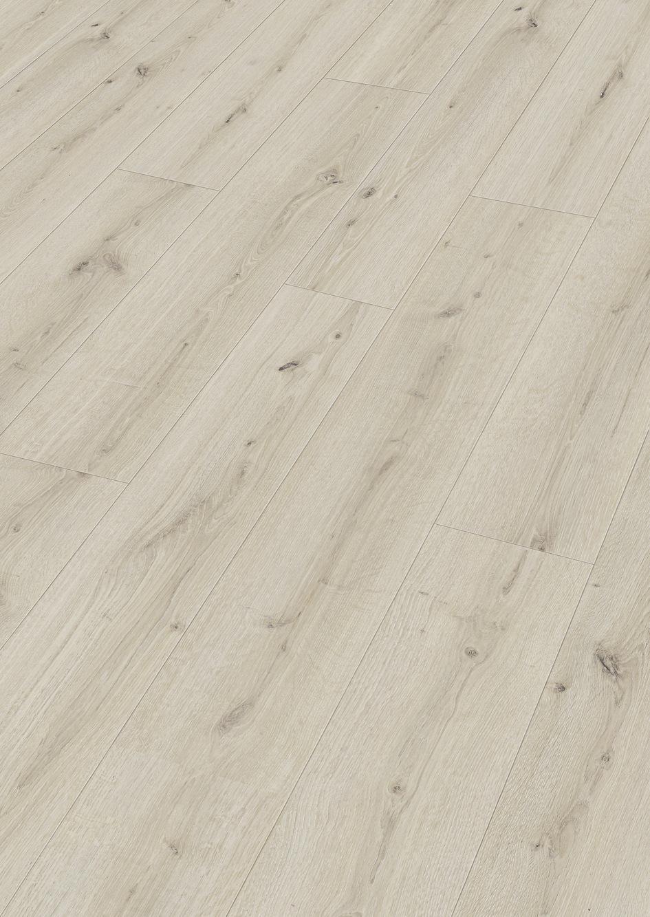 7119 Meister Design DD Perspektive