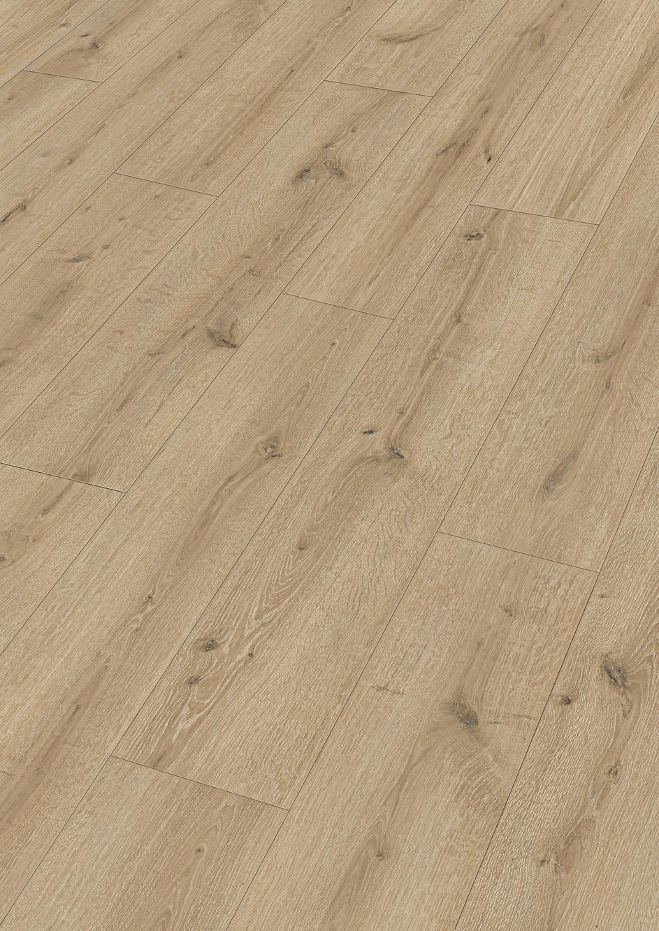 7120 Meister Design DD Perspektive