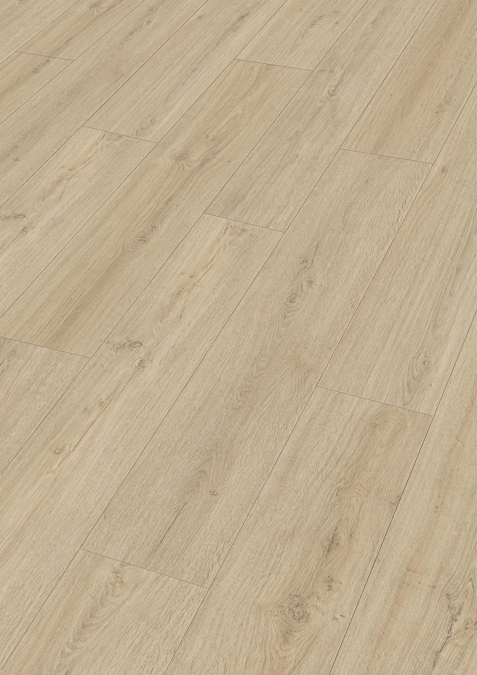 7122 Meister Design DD Perspektive