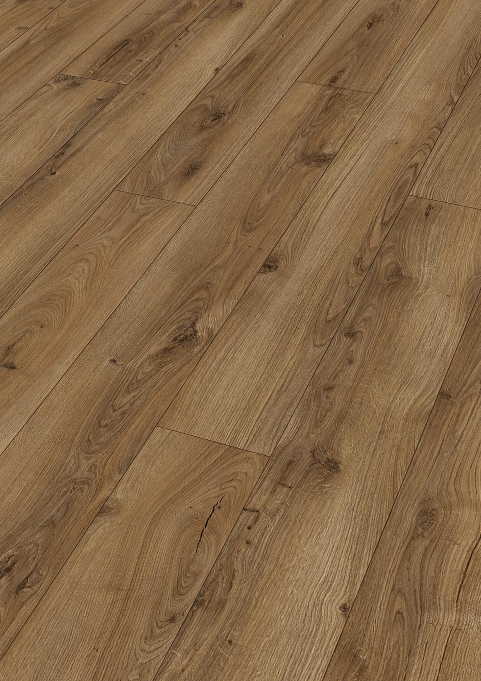 7130 Meister Design DL Perspektive