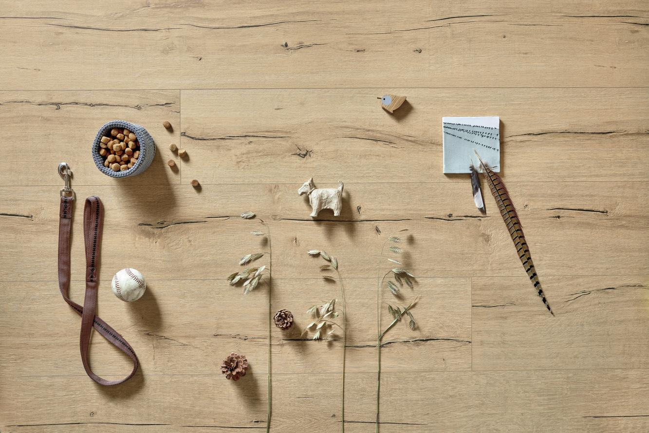 7139 Meister Design DL Makro 01