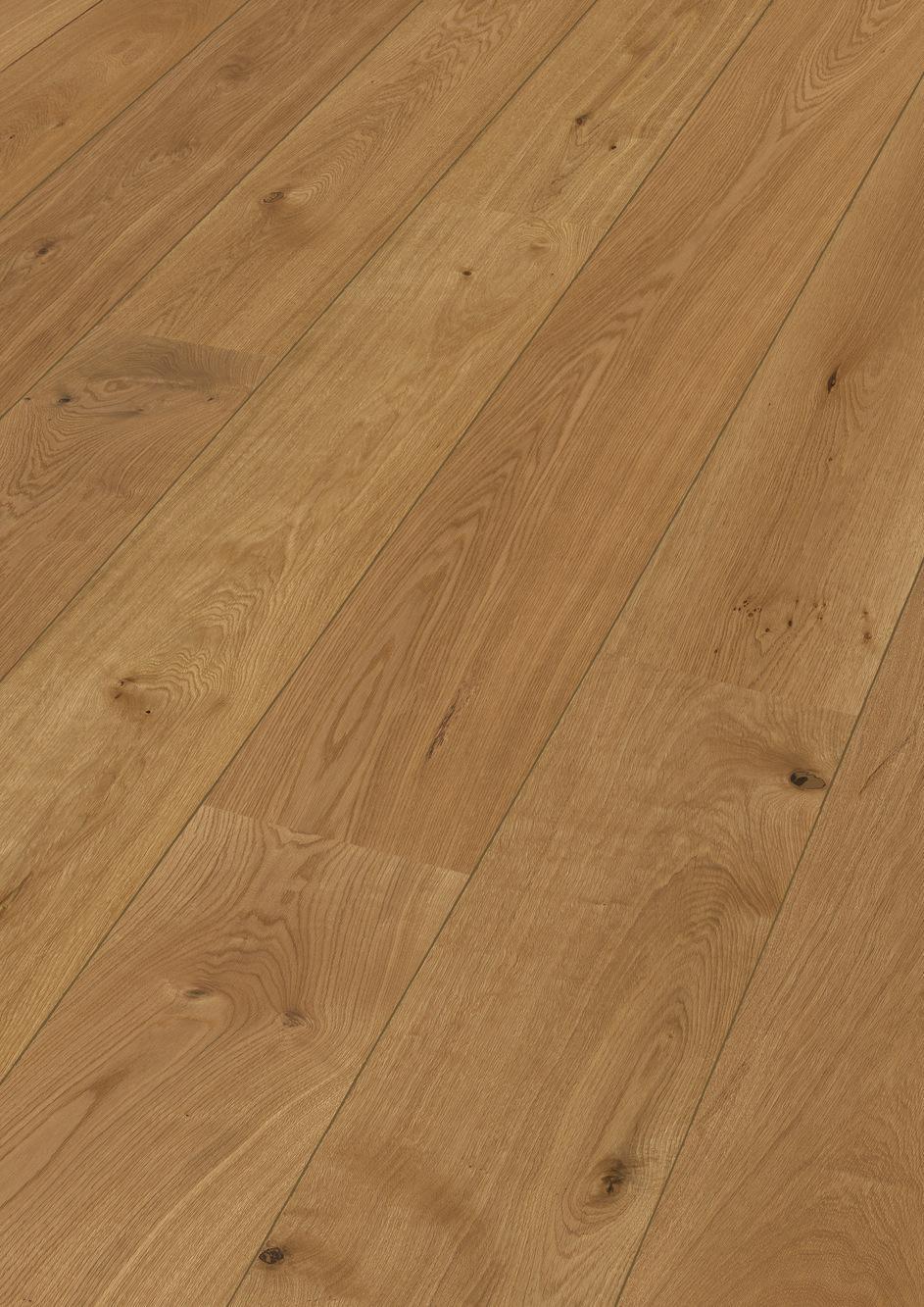 8900 HD400 naturgeoelt Perspektive