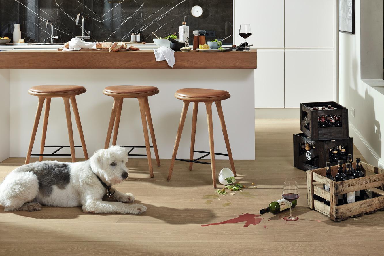 8922 HD400 ultramattlackiert Hund 01