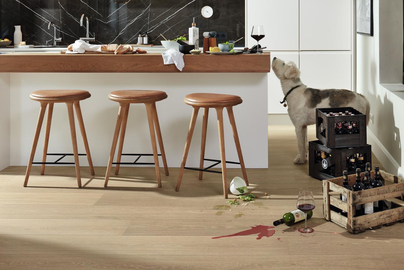 8922 HD400 ultramattlackiert Hund 02