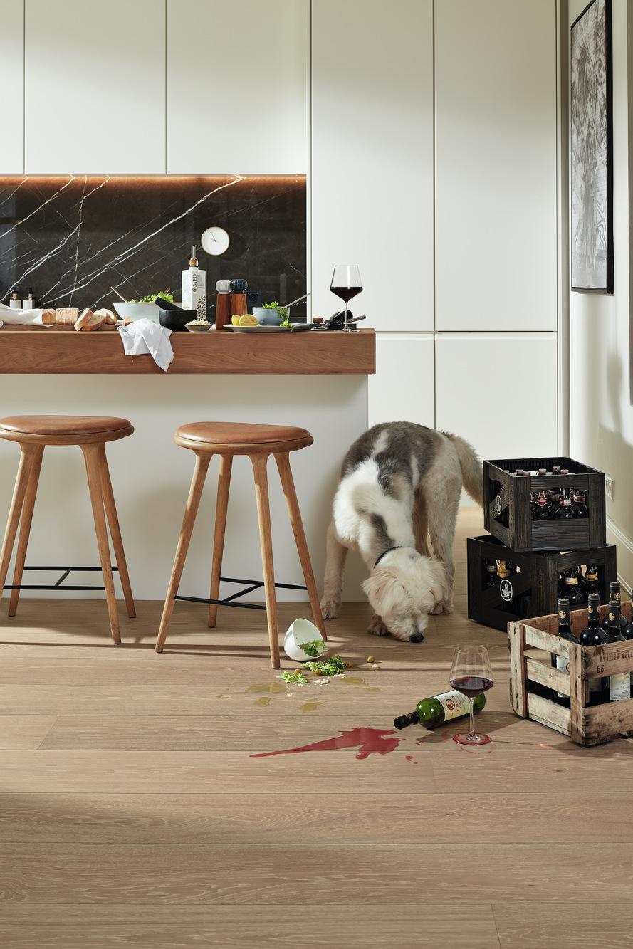 8922 HD400 ultramattlackiert Hund 03