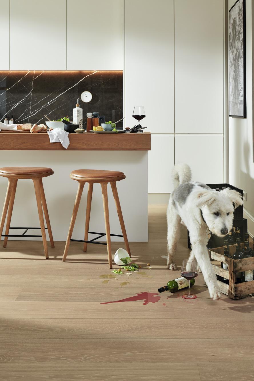 8922 HD400 ultramattlackiert Hund 06