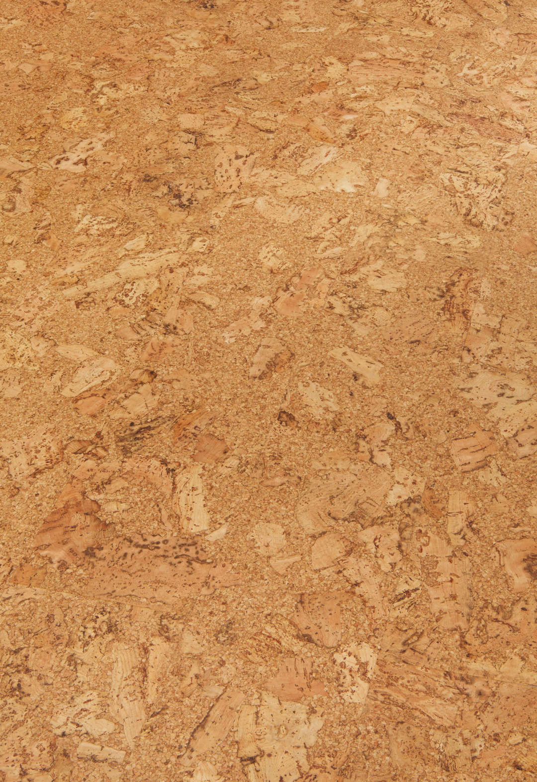 Originals Shell pe Large