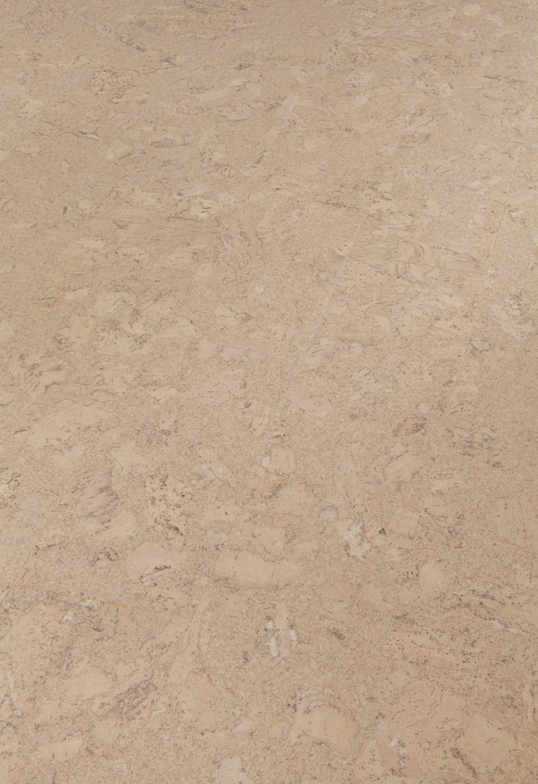 Shell Jasmim pe Large