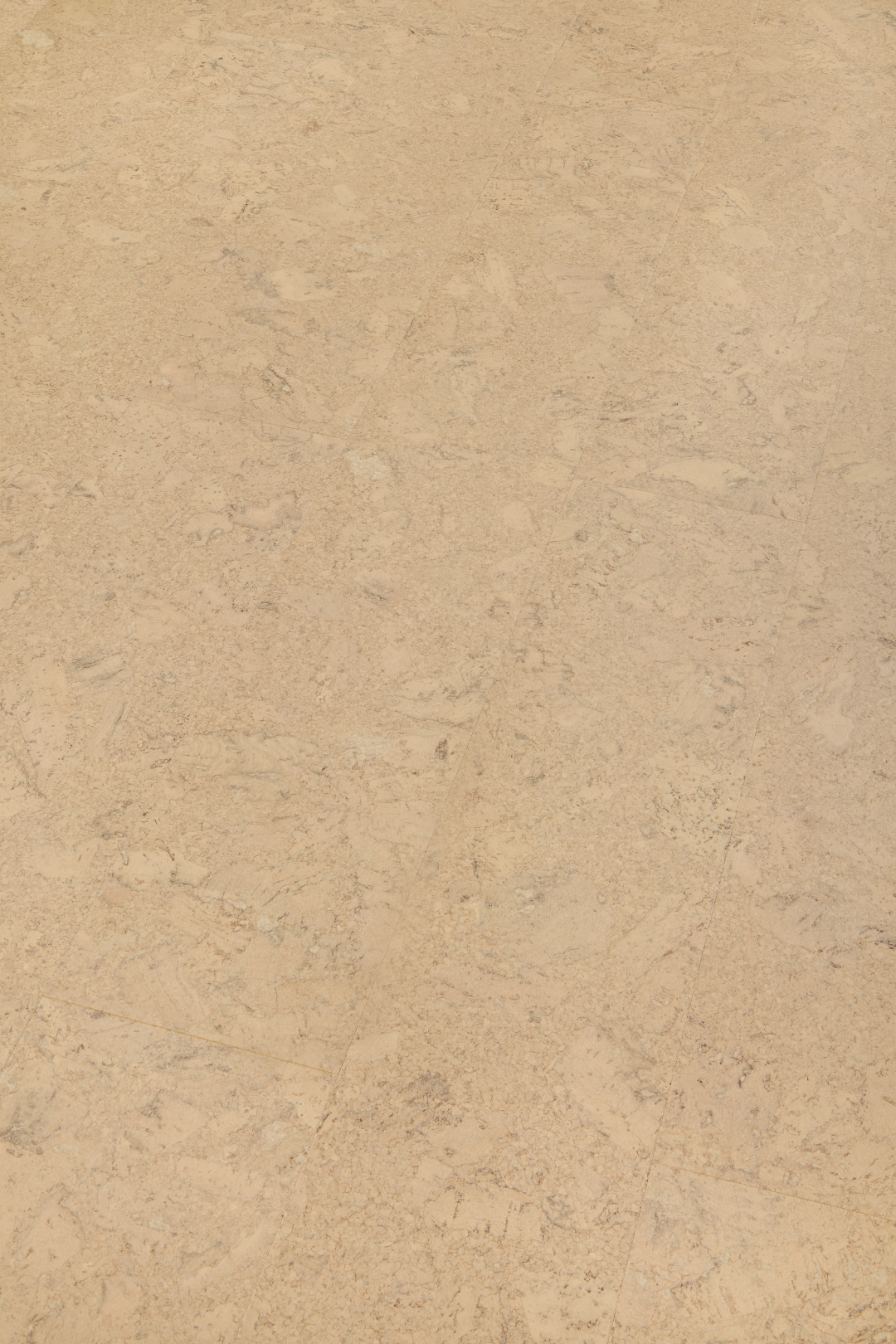 Shell Marfim pe Large