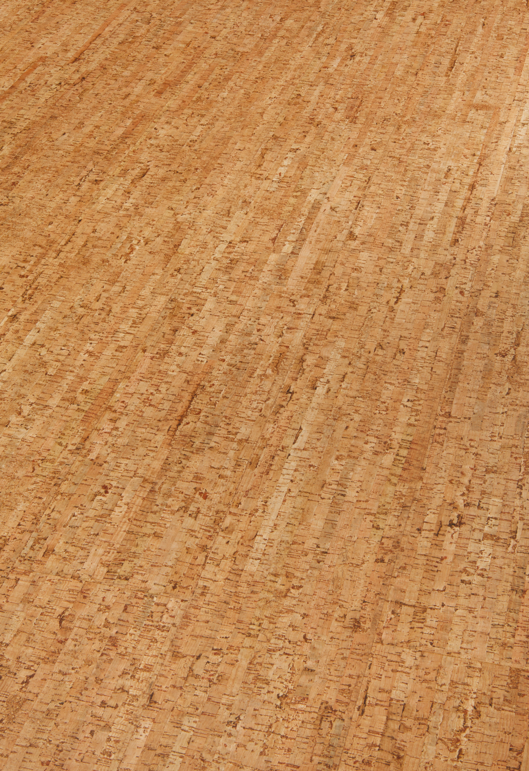 Traces Spice pe Large