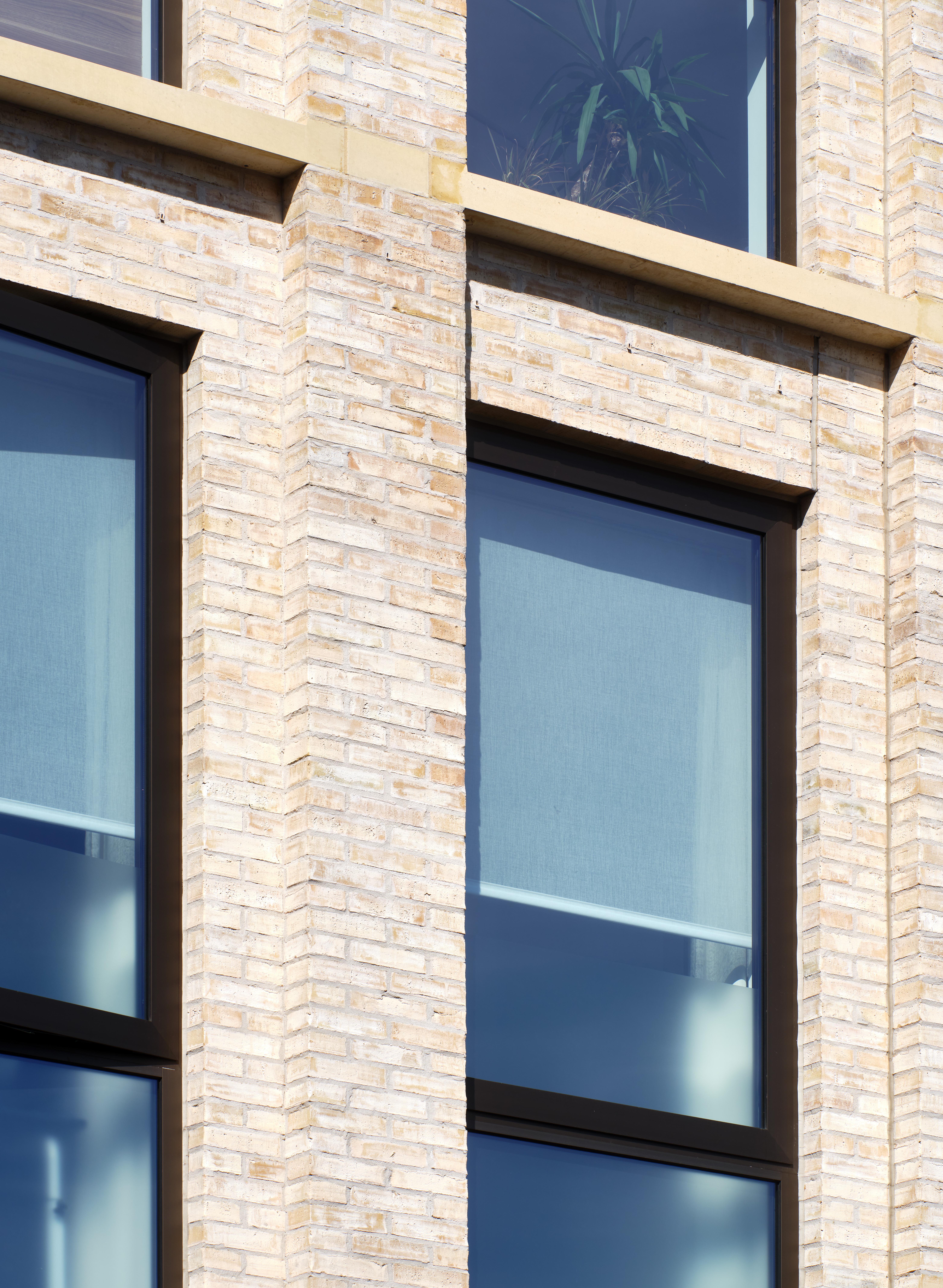 The Hand and Flower 2