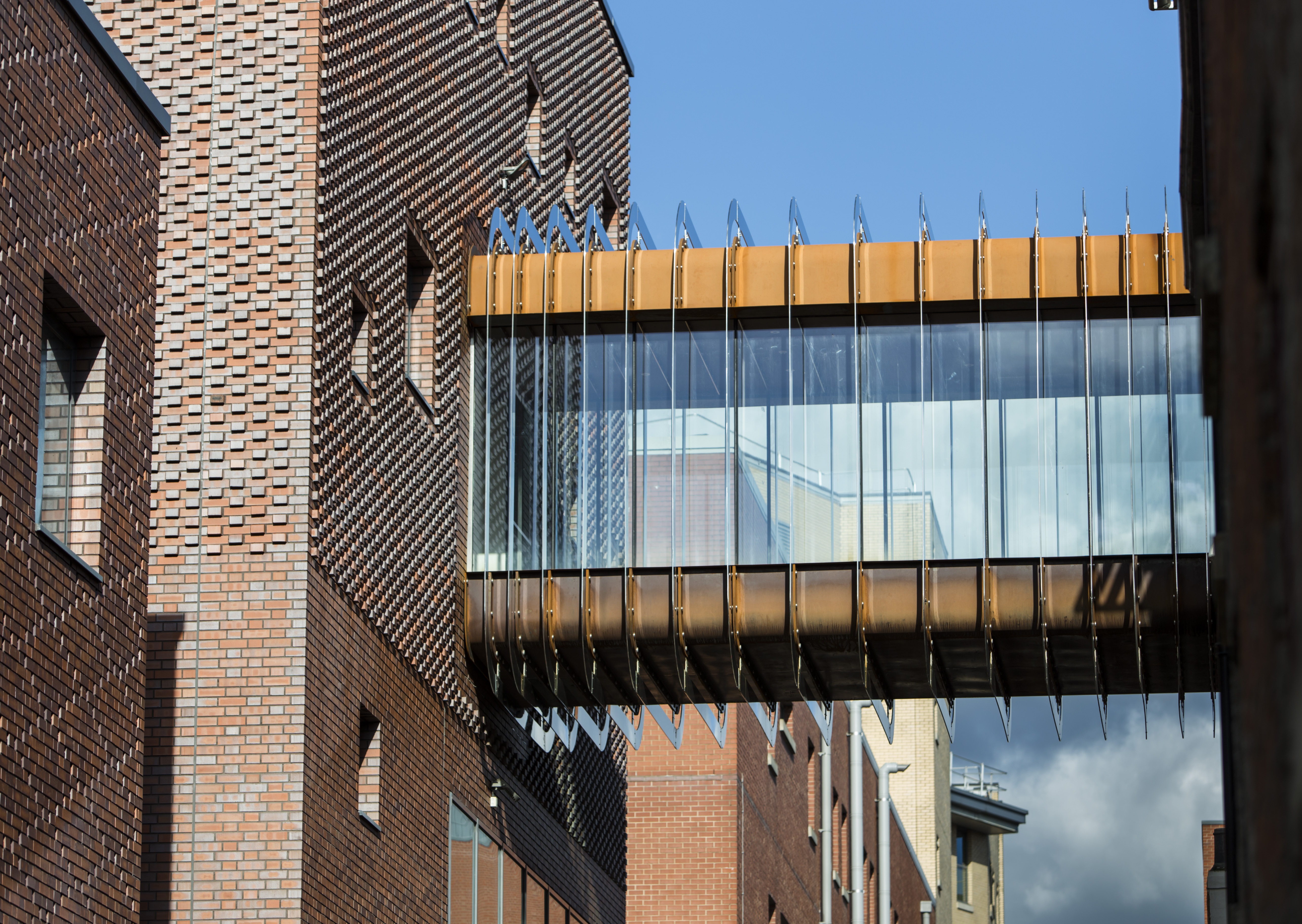 25231453655 a9eea3135f o