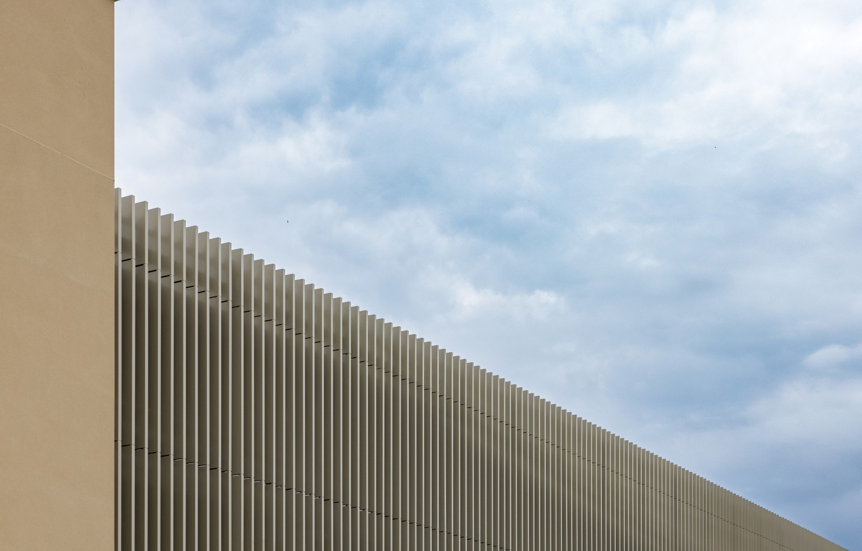 Amazon Barnwood 4 Large