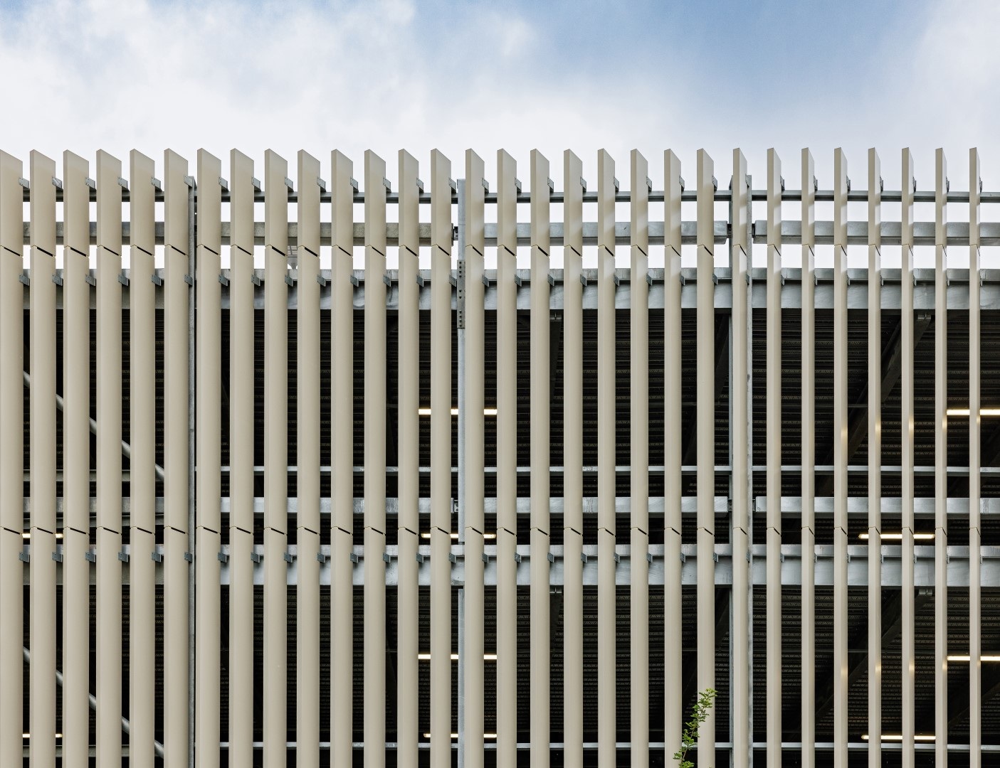 Amazon Barnwood 5 Large