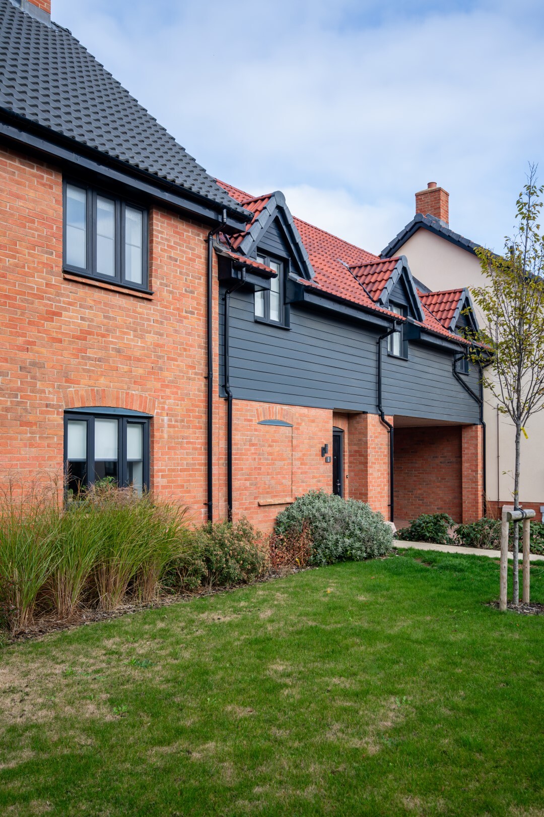 CD8 2587 Enhanced NR HR Large