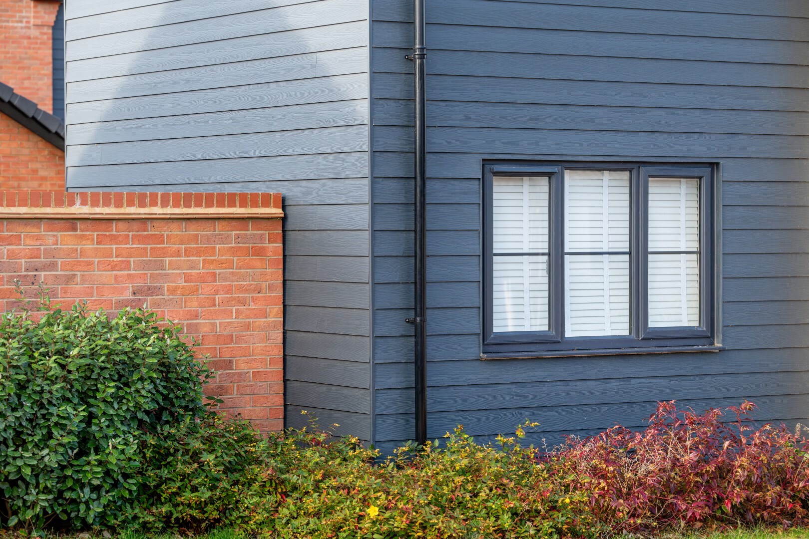 CD8 2612 Enhanced NR HR edit Large