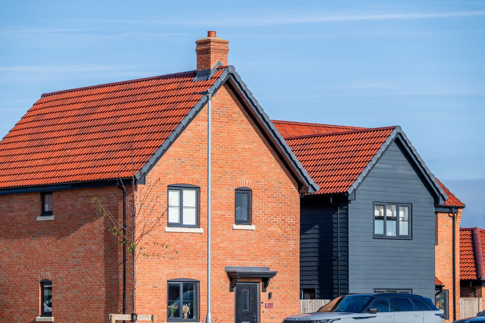 CD8 2623 Enhanced NR HR Large