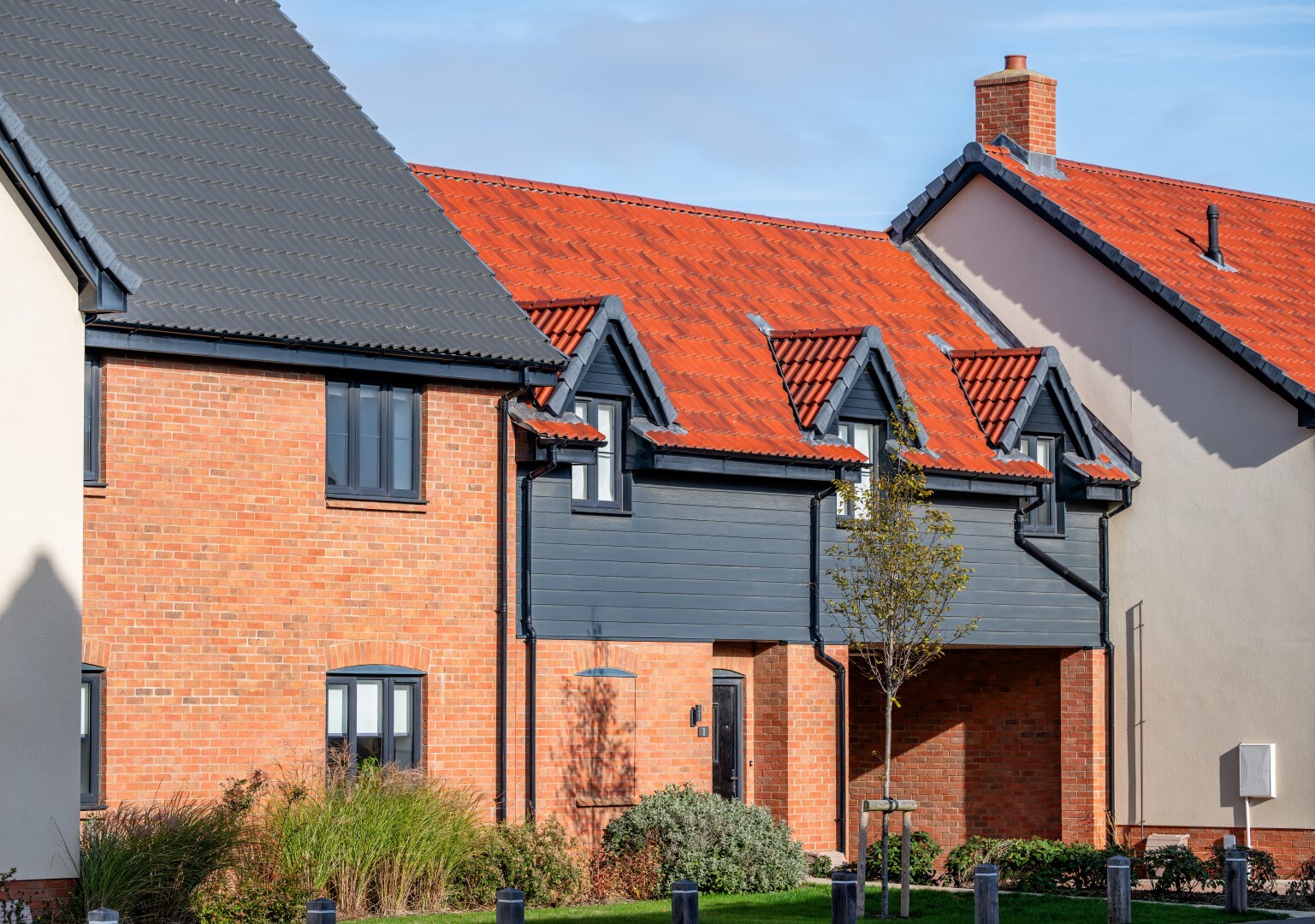 CD8 2645 Enhanced NR HR Large