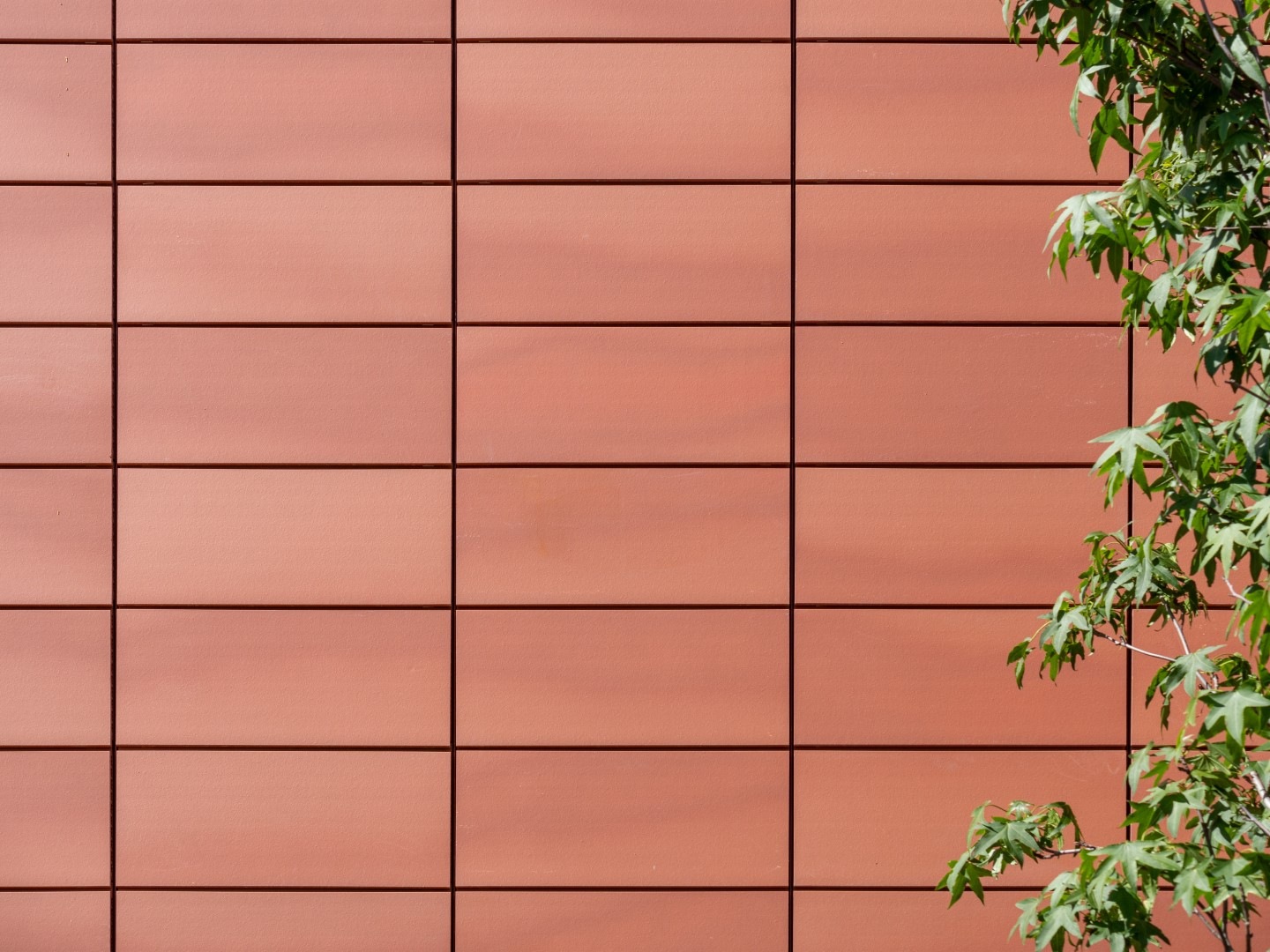 Canon Green Court Salford 16 Large