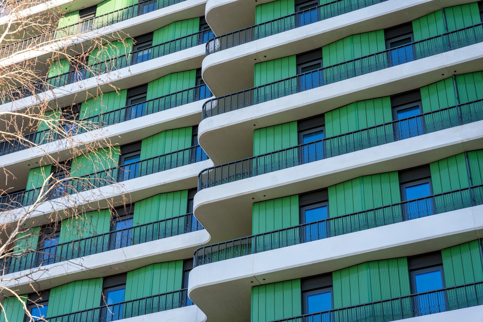 DSC03230 Dx O Deep PRIME XD2s Large