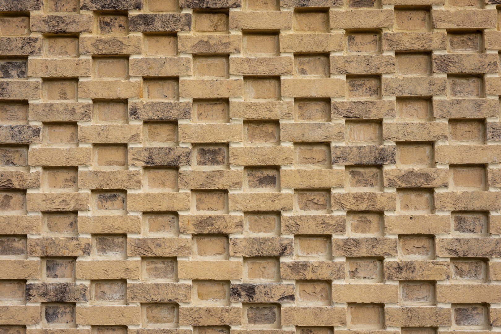 DSC03355 Dx O Deep PRIME XD2s Large