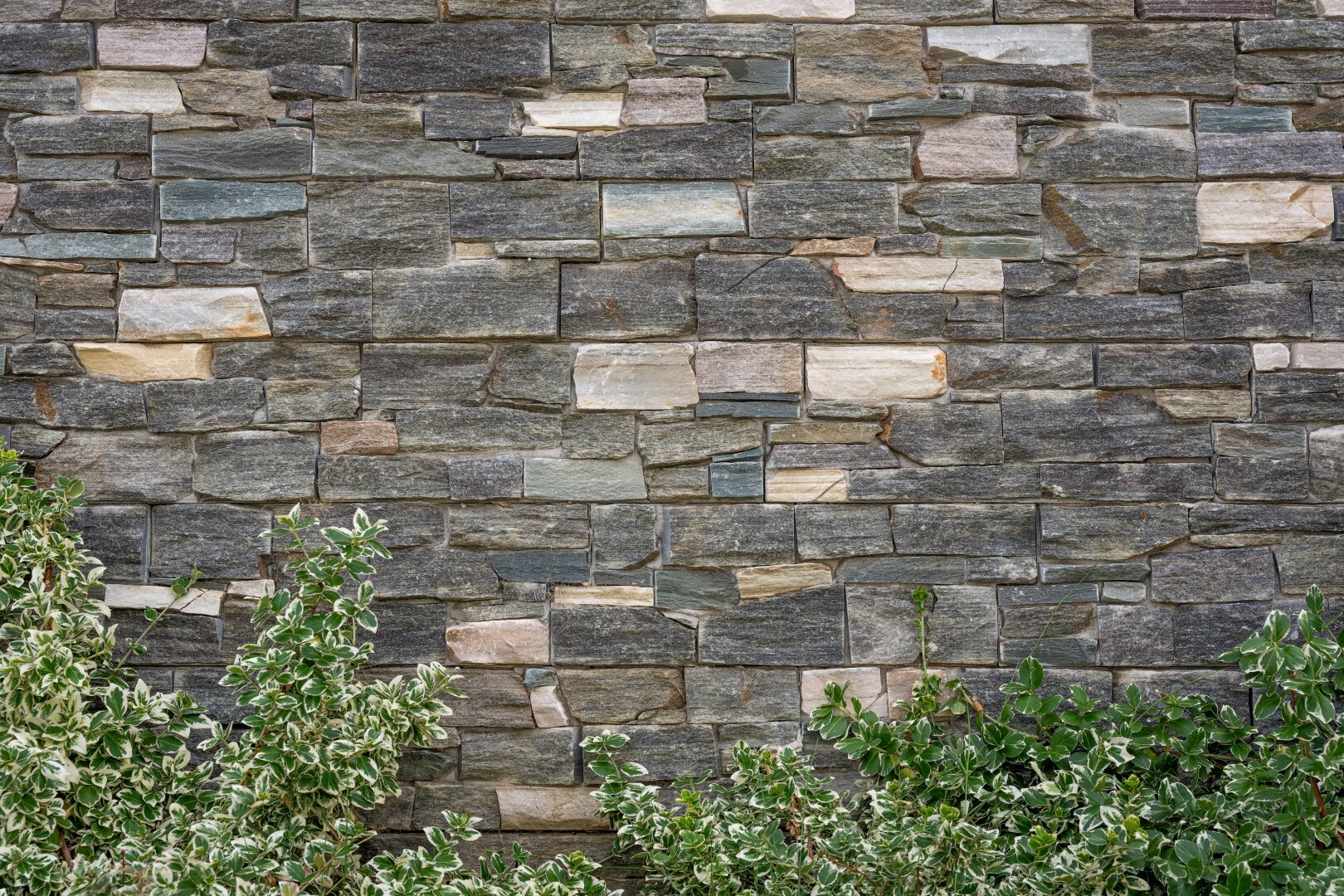 DSC07867 Dx O Deep PRIME XD2s Large