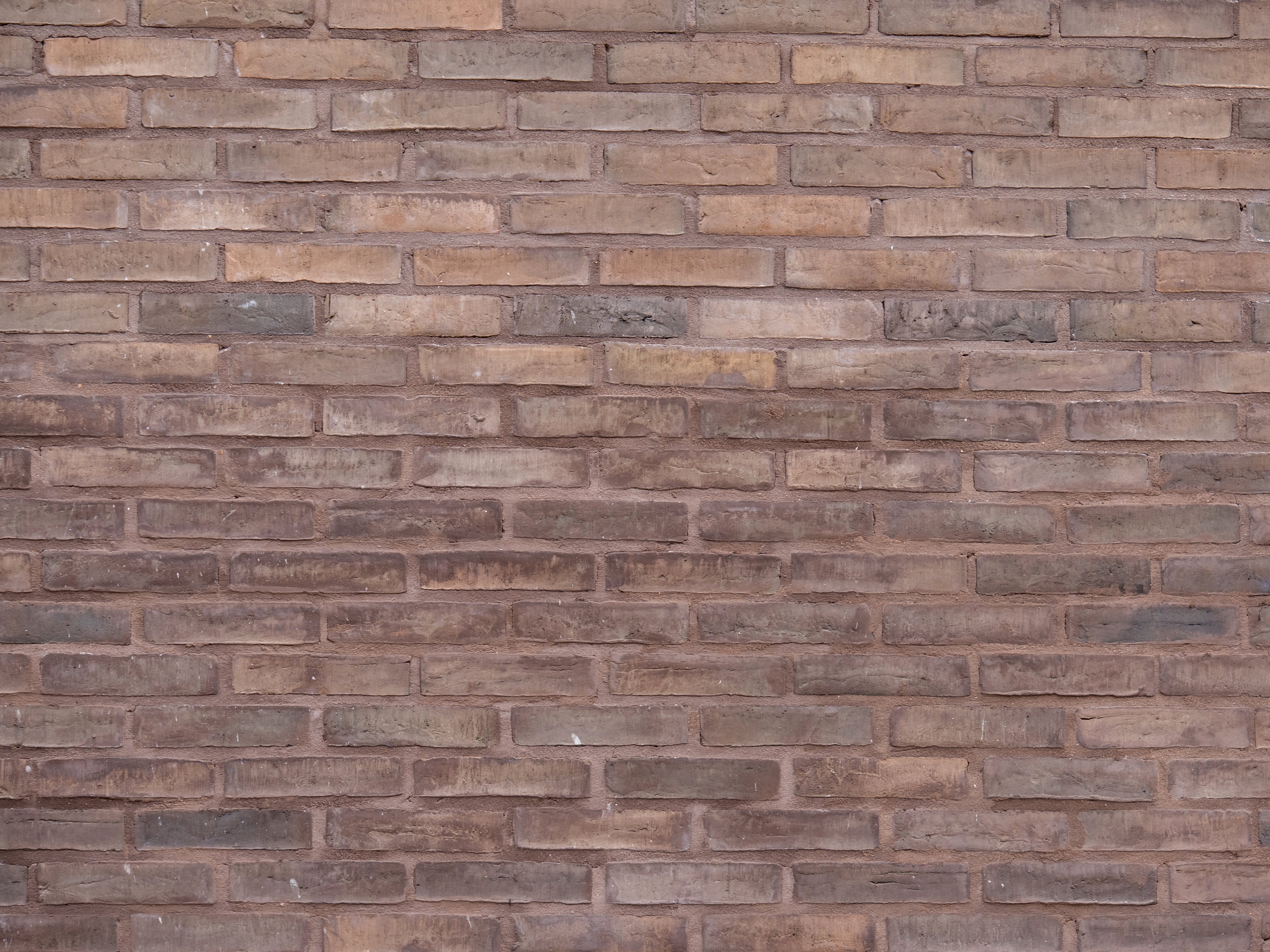 Kings Crescent Clay Large and Long Format 3